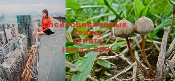 mix Армянск